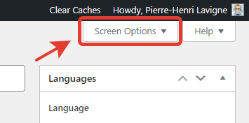 Screen Options button in the edit screen